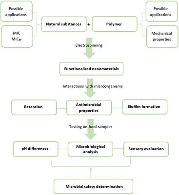 Potential of Polyamide Nanofibers With Natamycin, Rosemary Extract, and Green Tea Extract in Active Food Packaging Development: Interactions With Food Pathogens and Assessment of Microbial Risks Elimination